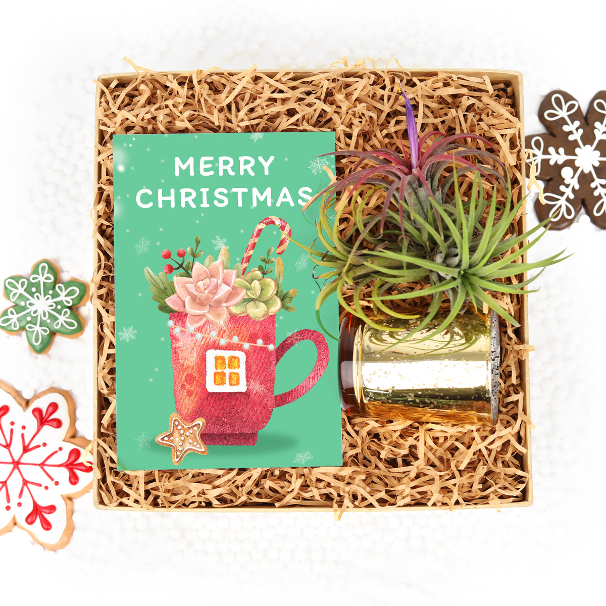 Plant in a Box Gift, Christmas Succulents, Christmas Succulent Plants, Succulents for Christmas Ideas in 2023, Christmas Gift Ideas for Succulent Lovers, Holiday Succulent Planter, Holiday Decorating with Succulents