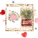 cute holiday cards, modern holiday cards, holiday cards 2025, holiday cards sale