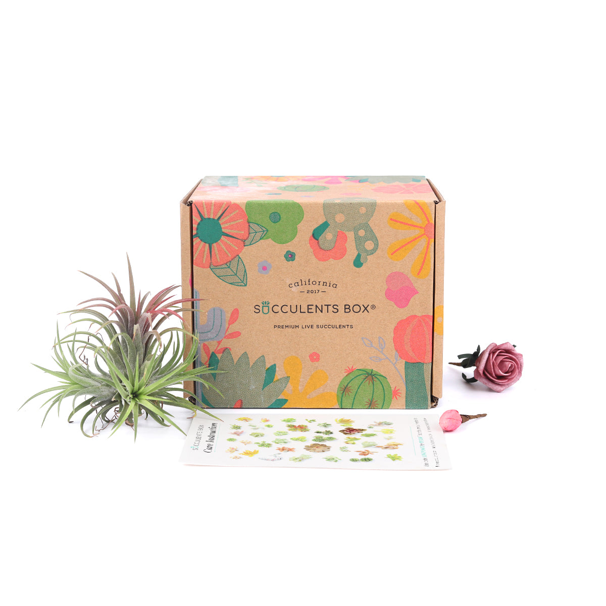 new mom subscription box, subscription boxes for mother's day, best subscription boxes for mother's day, Air Plant Gift for sale, Succulents for Sale, Types of Succulents, Succulents Shop in California, Succulents and Cactus Plants