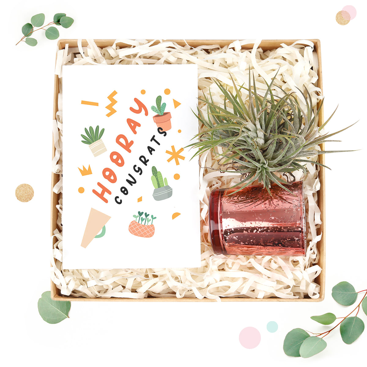 congratulations succulents Thank You Gift Box with Succulent, Candle & Personalized Note