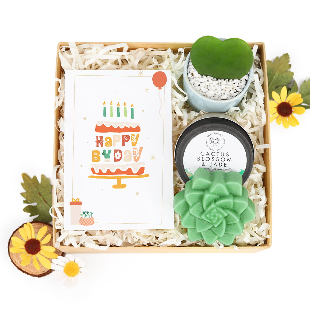 house plant gift box, house plant box gift, gift box, gift box ideas, birthday gift box, large gift box, gift box for women, gift box near me 2025