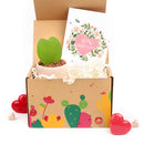 Valentine&#39;s Day Gift Plants, Valentine&#39;s Day Gift Ideas 2025, valentine&#39;s day gift boxes