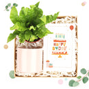 holiday and christmas postcards for sale, christmas postcards ideas 2025, christmas postcards near me