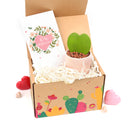 Valentine&#39;s Day Gift Plants, Valentine&#39;s Day Gift Ideas 2025, valentine&#39;s day gift boxes