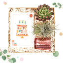 cute holiday cards, modern holiday cards, holiday cards 2025, holiday cards sale