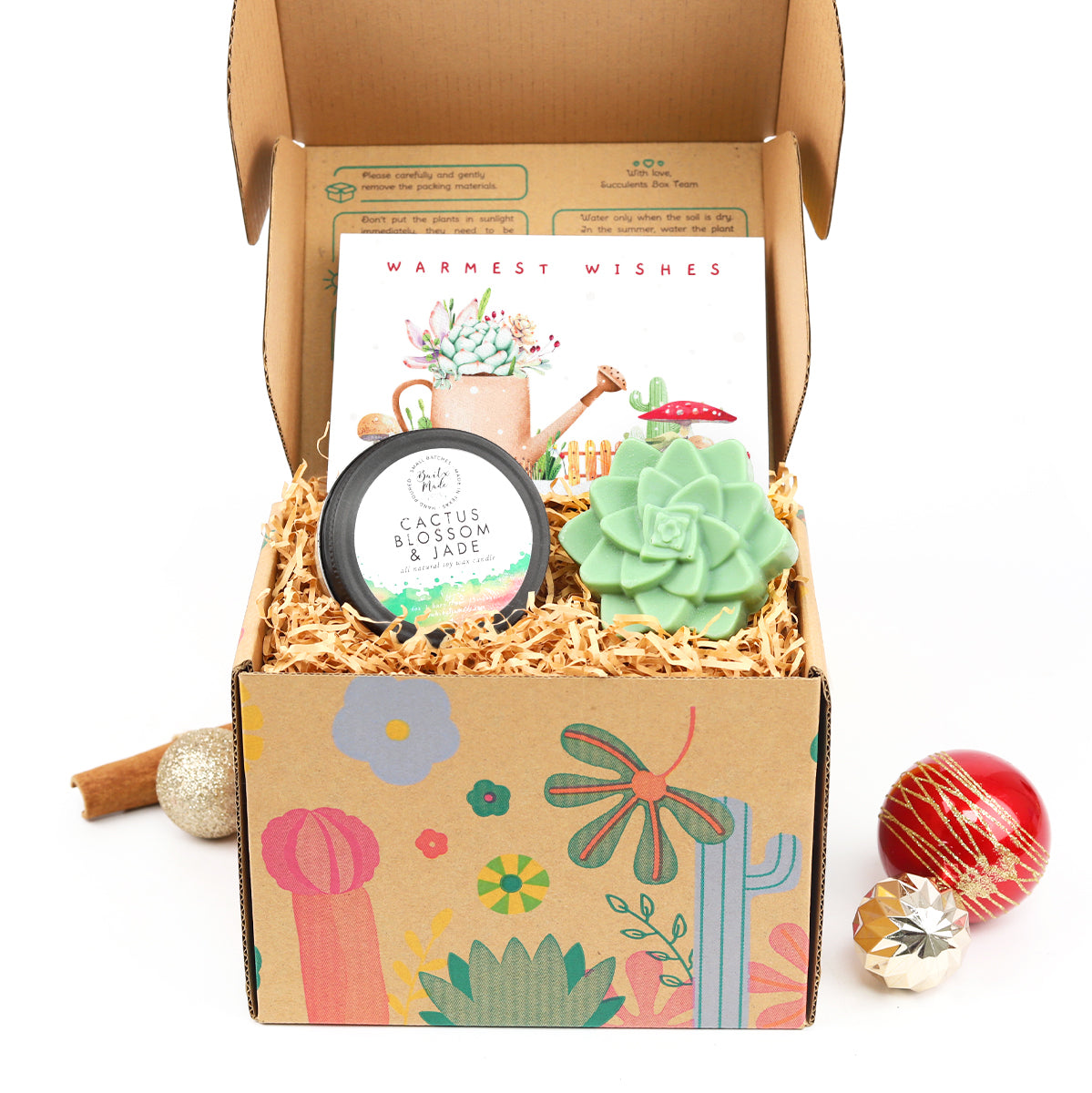Succulent Christmas Gift Box for Sale, Succulent Holiday Gift Box, Succulent Gift Ideas 2023, Succulent Gift Box for Christmas, Plant in a Box Gift, Christmas Succulents