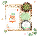 cute holiday cards, modern holiday cards, holiday cards 2025, holiday cards sale