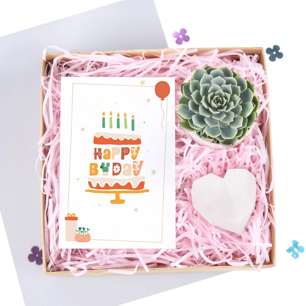 Warmest Wishes Succulent Gift Box