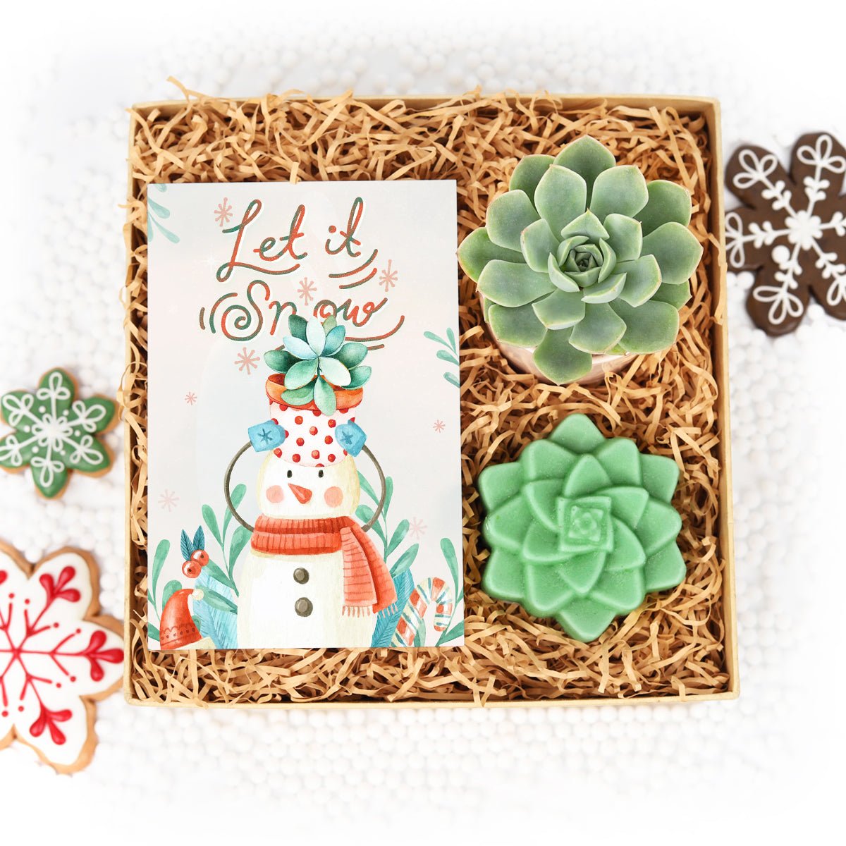 holiday gift box delivery, gift box holiday, christmas gift box for employees, christmas gift box ideas for kids, christmas gift box for women, gift box with succulent, wholesale succulent gift box 2025