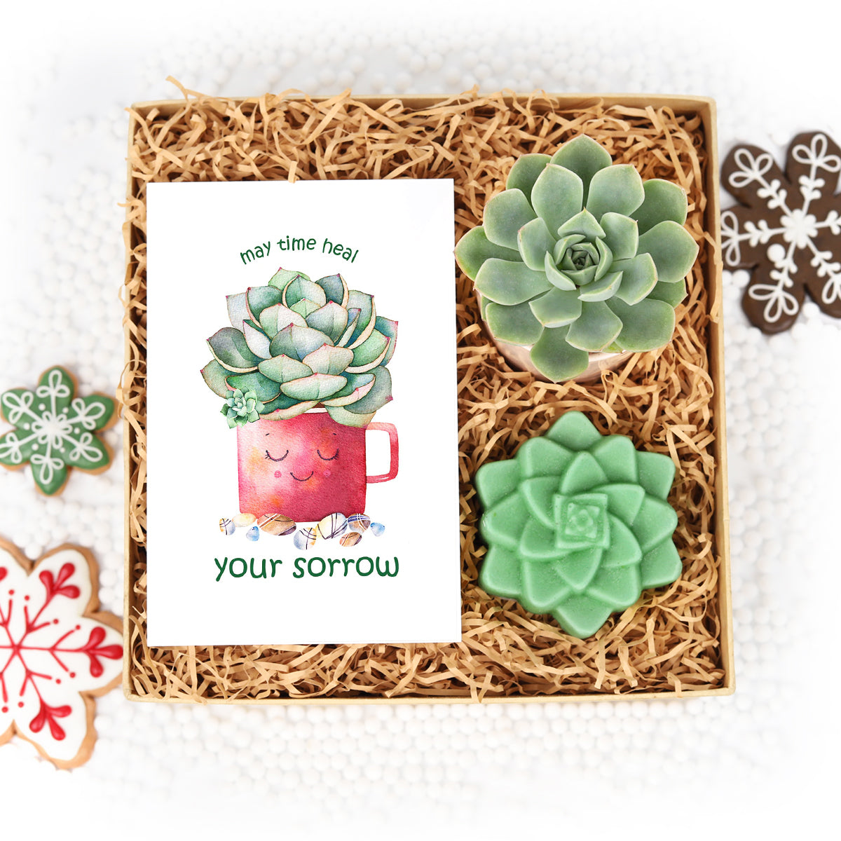 gift box, gift box ideas, large gift box, christmas gift box, surprise box gift, best friend gift box ideas, gift box for women, succulent gift box, gift box delivery 2025