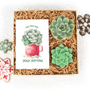 cute holiday cards, modern holiday cards, holiday cards 2025, holiday cards sale
