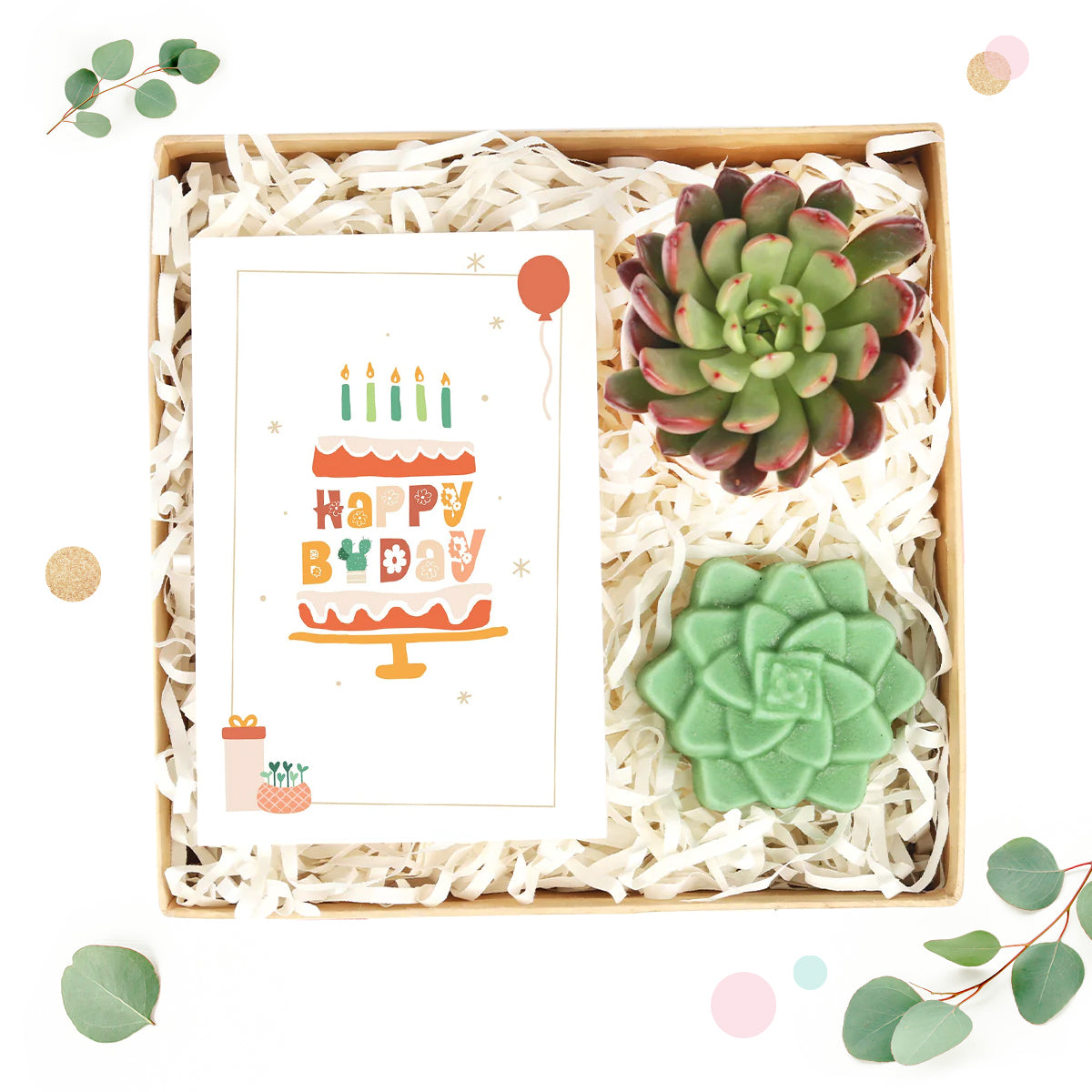 birthday gift box, large gift box, surprise box gift, succulent gift box, gift box for women, small gift box, surprise gift box, best friend gift box ideas, the gift box, birthday gift box for her, graduation gift box, best friend gift box 2025