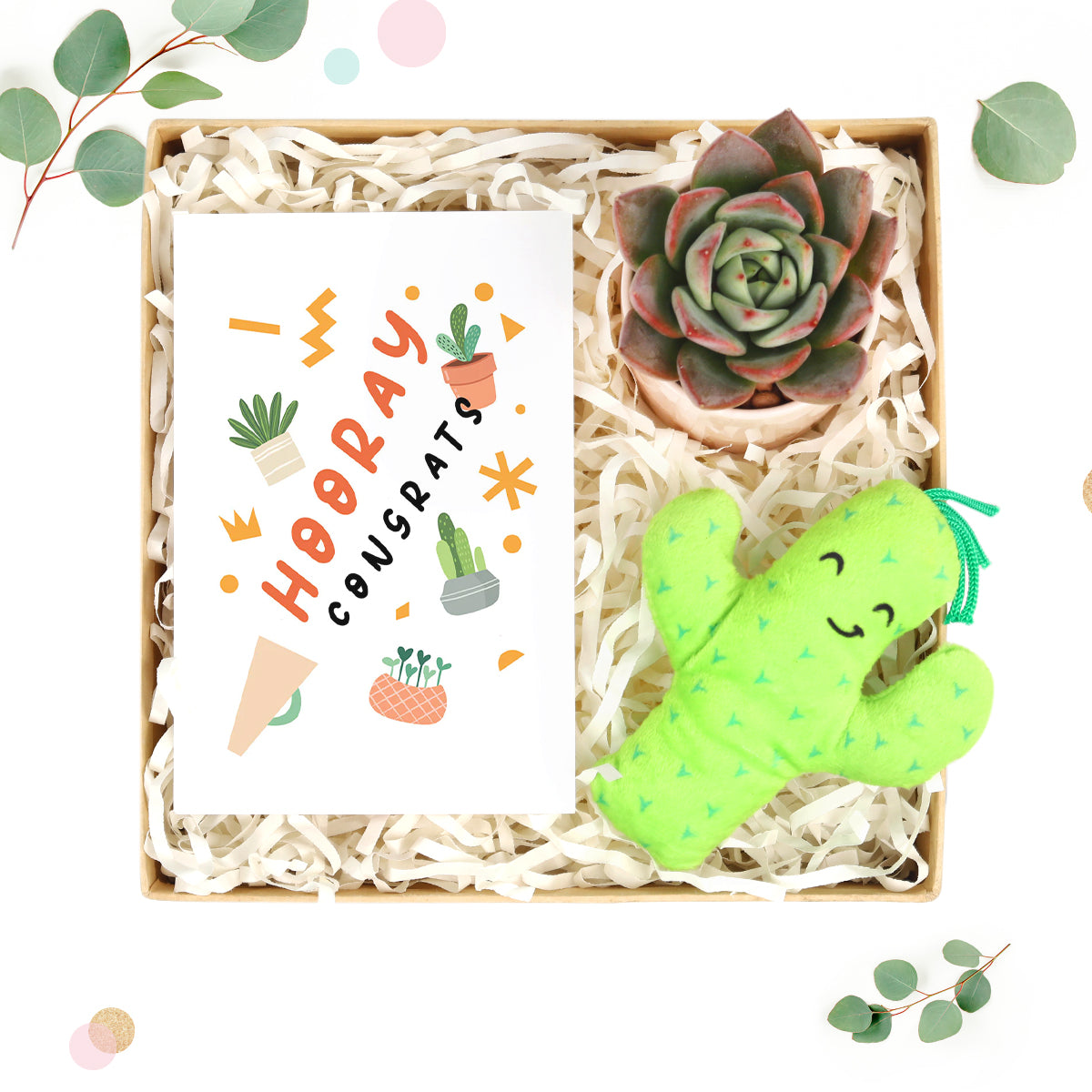 Succulent wedding favors ideas, Wedding succulent planters favors for guest in bulk, Succulents and cactus make awesome wedding favors, Succulent gifts are a great choice for any wedding, Succulents wedding decorations ideas, Succulent wedding table arrangements