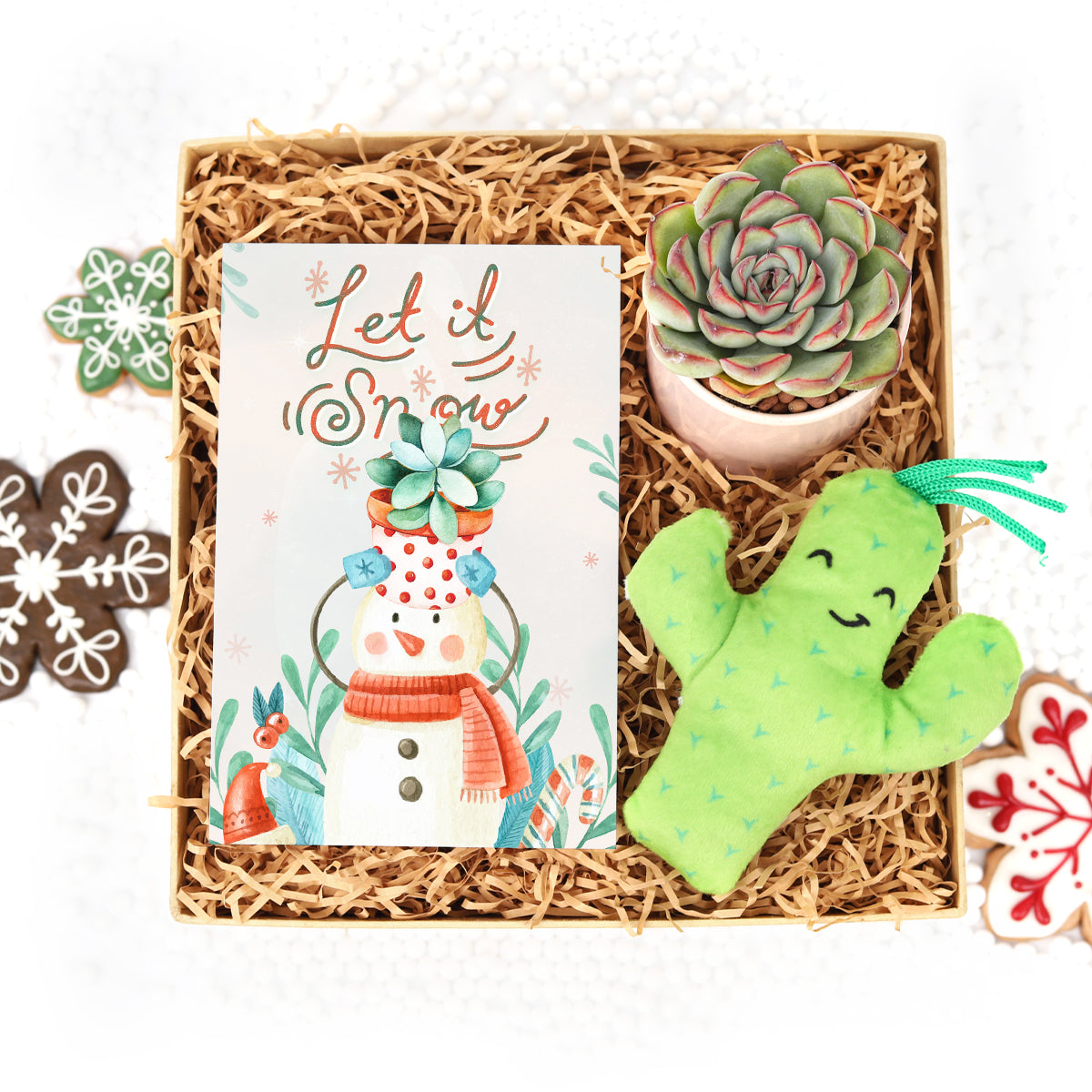 gift box, gift box ideas, large gift box,  christmas eve gift box, gift box ideas for christmas, christmas gift box delivery, cute christmas gift box ideas, succulent gift box, best succulent gift box