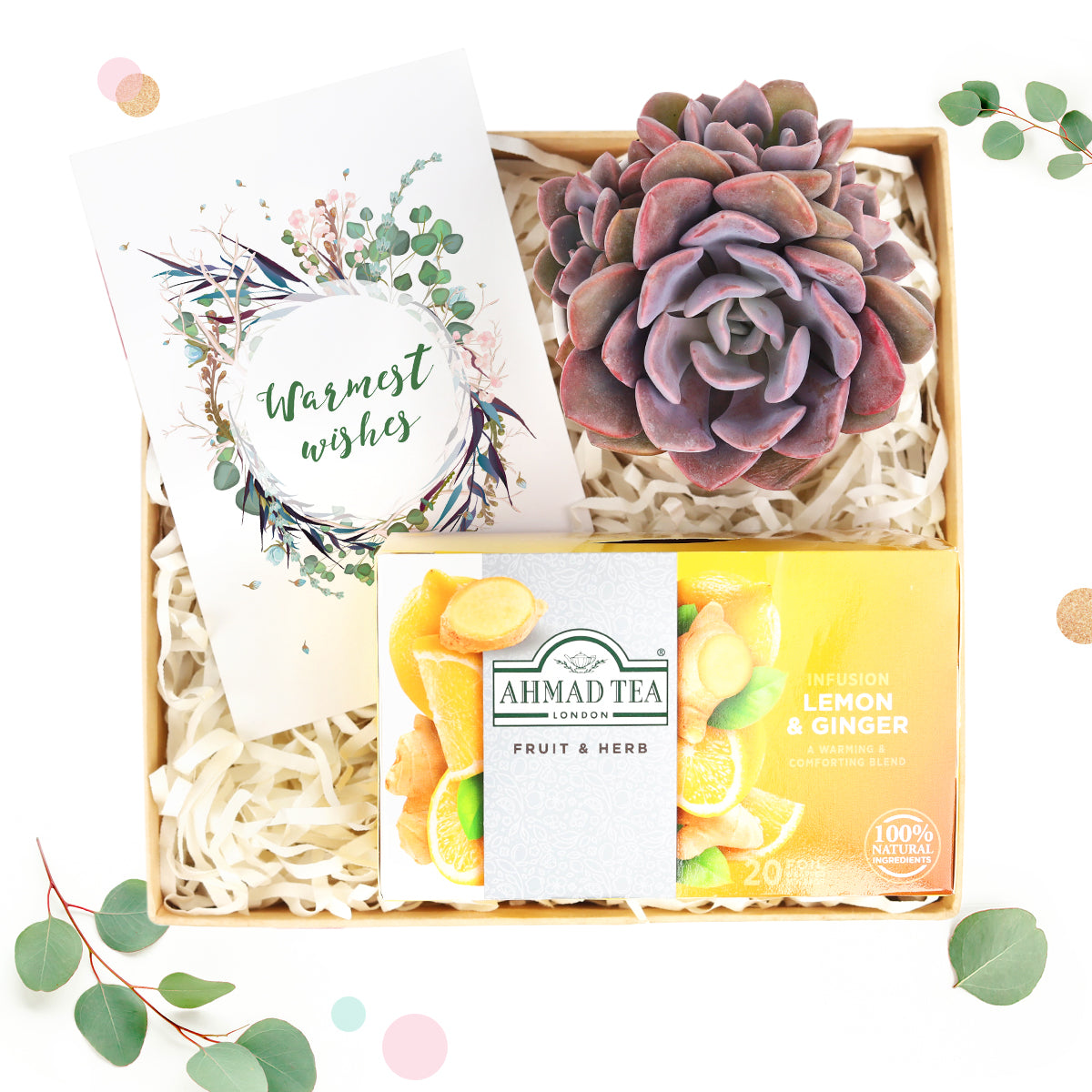 tea gift box, company gift box, gift box company, gift box companies, gift box for sale, unique gift box, Warmest Wishes Succulent Gift Box, gift box with greeting card 2025