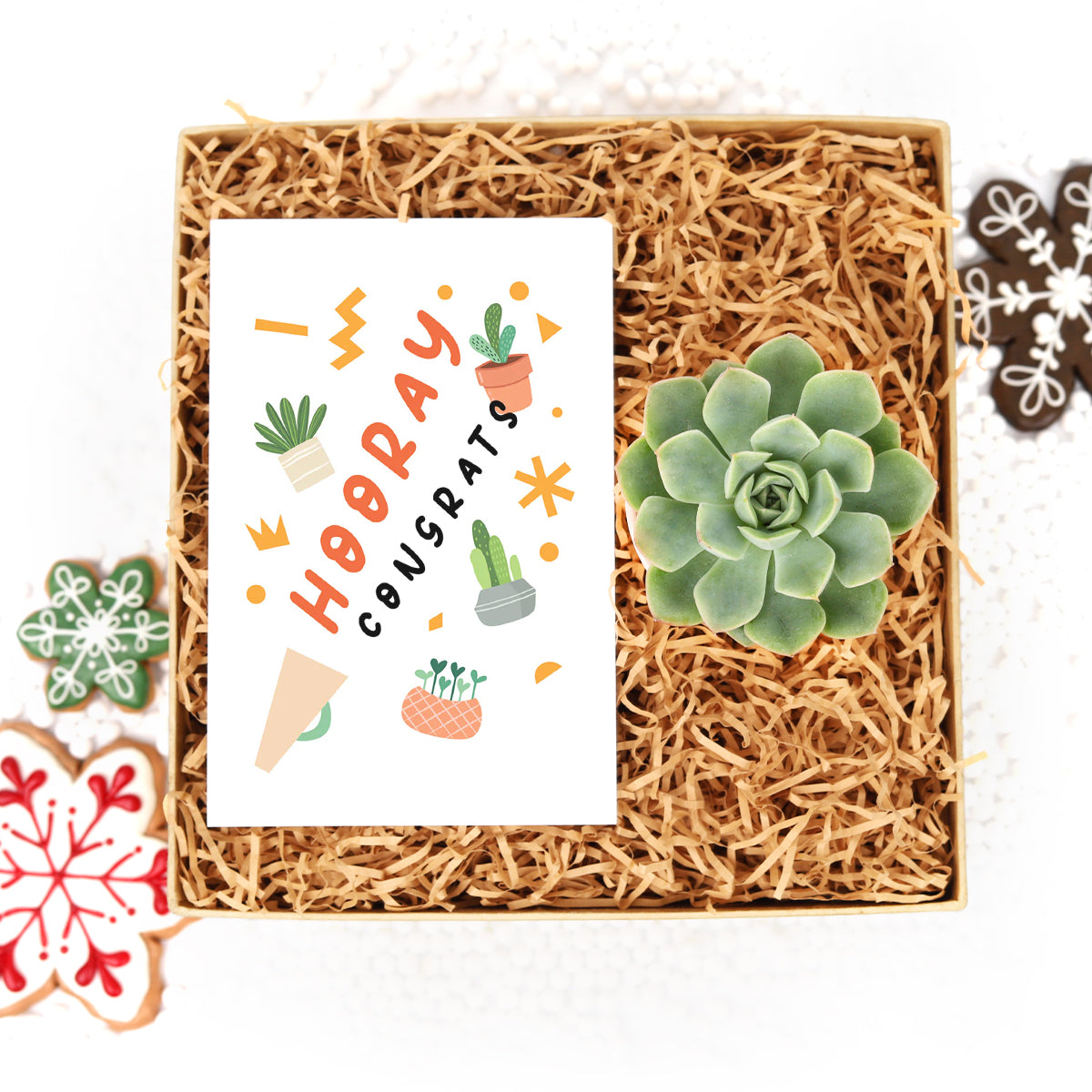 succulent gift box delivery, succulent gift box, holiday gift box, holiday gift box for employees, est christmas gift box, christmas eve gift box 2025