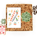 holiday and christmas postcards for sale, christmas postcards ideas 2025, christmas postcards near me