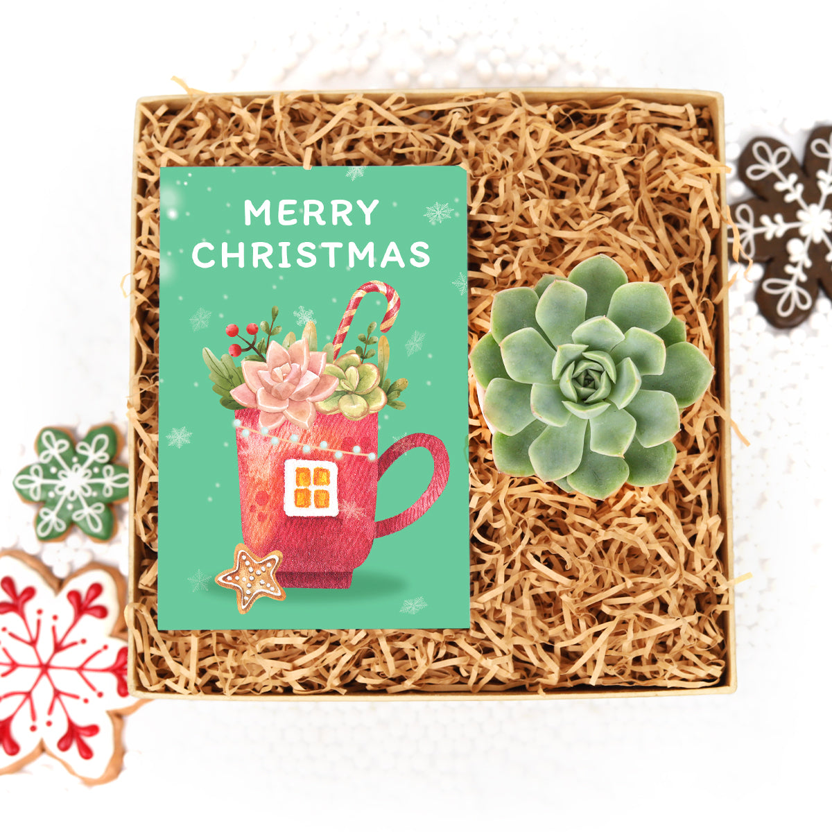 Succulent Christmas Gift Ideas, Christmas Gift Ideas for Succulent Lovers, Holiday Succulent Planter, Holiday Decorating with Succulents