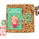 Succulent Christmas Gift Box for Sale, Succulent Holiday Gift Box, Succulent Gift Ideas 2023, Succulent Gift Box for Christmas, Plant in a Box Gift, Christmas Succulents, Christmas Succulent Plants, Succulents for Christmas Ideas in 2023, Succulent Christmas Decorations, Succulent Christmas Gift Ideas, Christmas Gift Ideas for Succulent Lovers, Holiday Succulent Planter, Holiday Decorating with Succulents