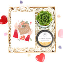 Gift Box - 1 Succulent and 1 Soy Candle