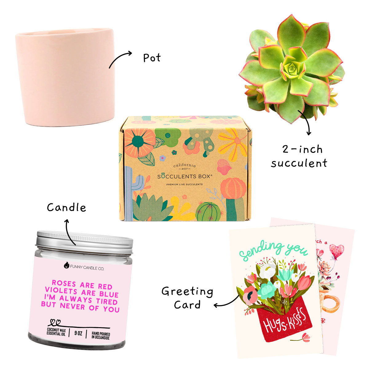 Valentine&#39;s Day Soy Candle Gift Box, Succulent and Candle Gift Set for Valentines Day, Valentine Succulent and Candle Gift Box for Sale, Best Valentine&#39;s Day Gifts for Plant Lovers in 2023, Valentine Succulent Box, Valentine&#39;s Day Succulent Delivery, Succulent Delivery for Valentine&#39;s Day, Shop Succulents for Valentine, Where to Buy Succulents for Valentine, Succulent Gifts for Valentine&#39;s Day, Succulents For Valentine&#39;s Day