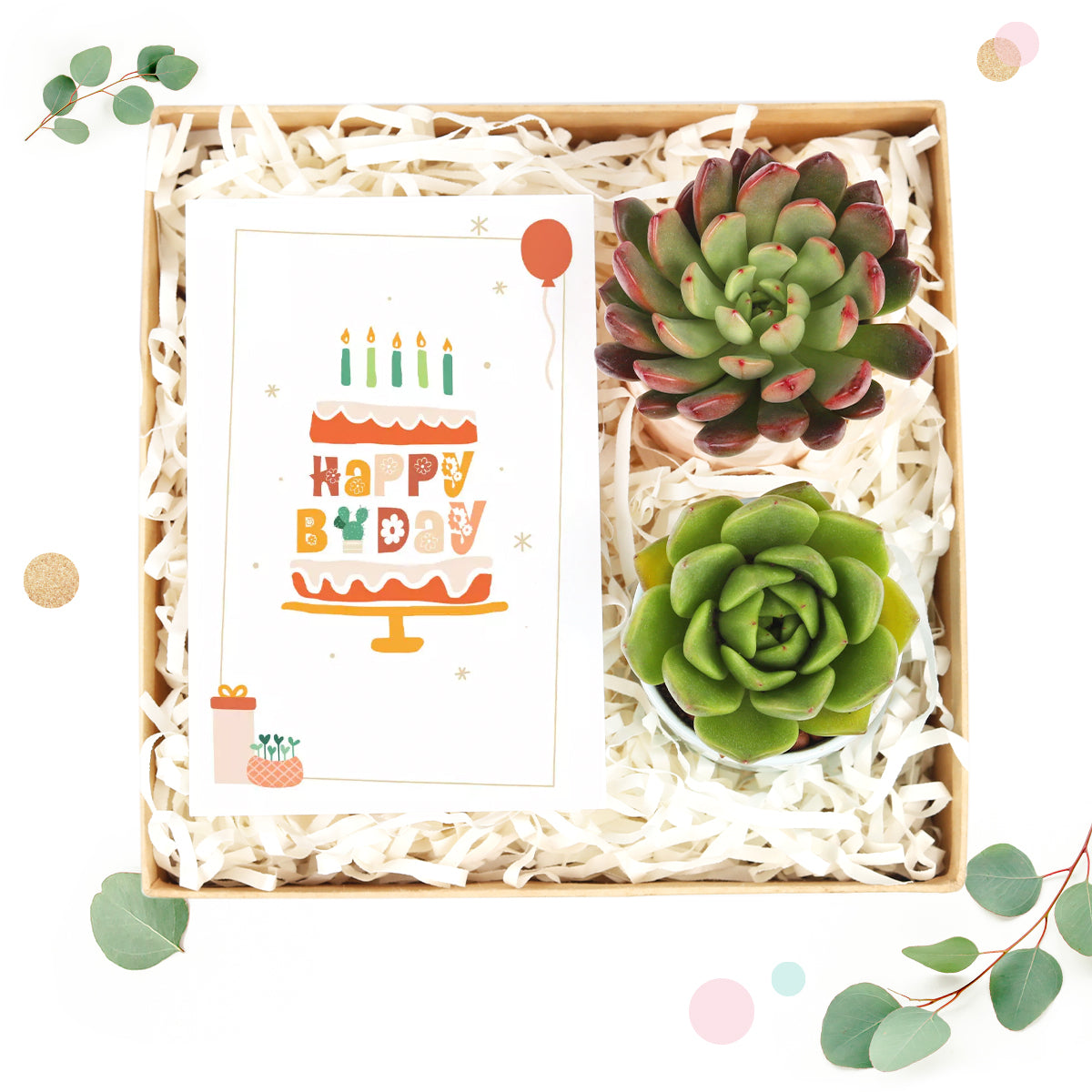 EcoFriendly Succulent Gift Box for Employee, Corporate Gift Succulents For Sale Online, Succulent Thank You Gift Ideas, birthday gift box, birthday gift ideas, succulent gift box 2025