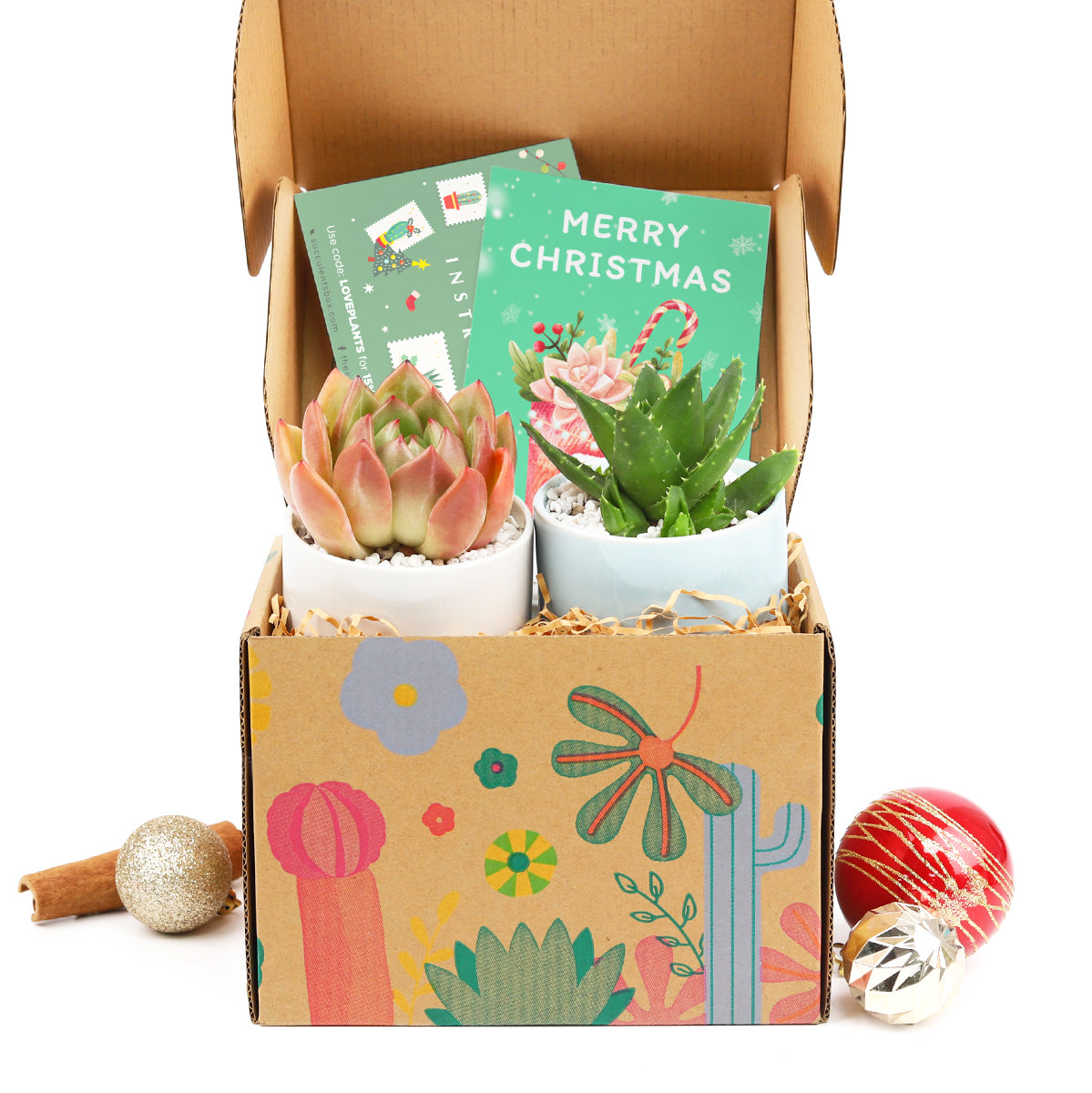 Succulent Gift Ideas 2023, Succulent Gift Box for Christmas, Plant in a Box Gift, Christmas Succulents, Christmas Succulent Plants, Succulents for Christmas Ideas in 2023, Succulent Christmas Decorations, Succulent Christmas Gift Ideas