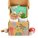 Succulent Christmas Gift Box for Sale, Succulent Holiday Gift Box, Succulent Gift Ideas 2023, Succulent Gift Box for Christmas, Plant in a Box Gift, Christmas Succulents, Christmas Succulent Plants, Succulents for Christmas Ideas in 2023, Succulent Christmas Decorations, Succulent Christmas Gift Ideas, Christmas Gift Ideas for Succulent Lovers, Holiday Succulent Planter, Holiday Decorating with Succulents