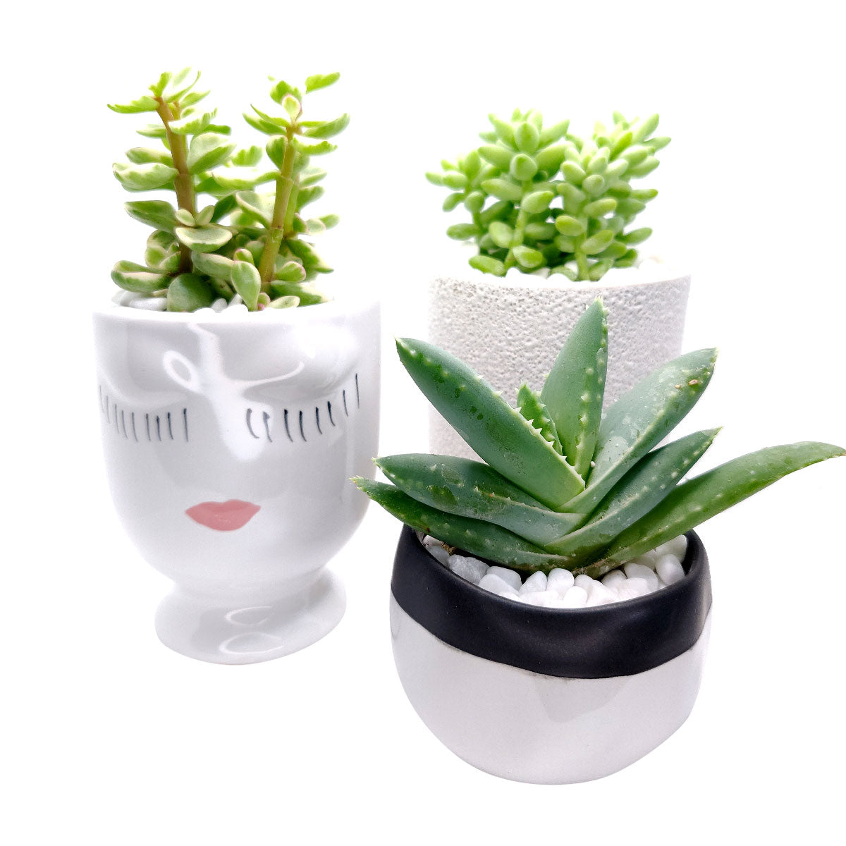 Hand-painted Pretty Lady Face Pot for sale, 4 inch pot for cactus and succulent plant, unique Artistic Lady Face Pots, modern home decor ideas, small ceramic pot for succulent, succulent gift ideas for women