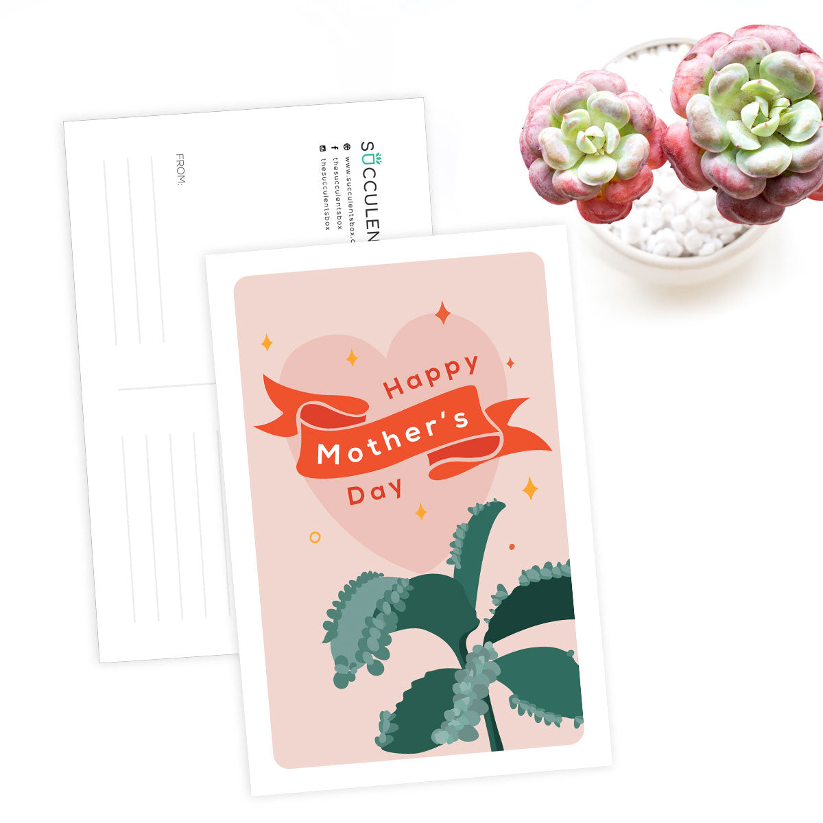 succulent mother's day card Happy Mother's Day Card