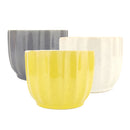 Set of 3 Ripple Pots Randomly Picked for Sale, Elegant Ceramic Pot for succulent and cactus, Mini flower ceramic pots, Succulent gift decor ideas