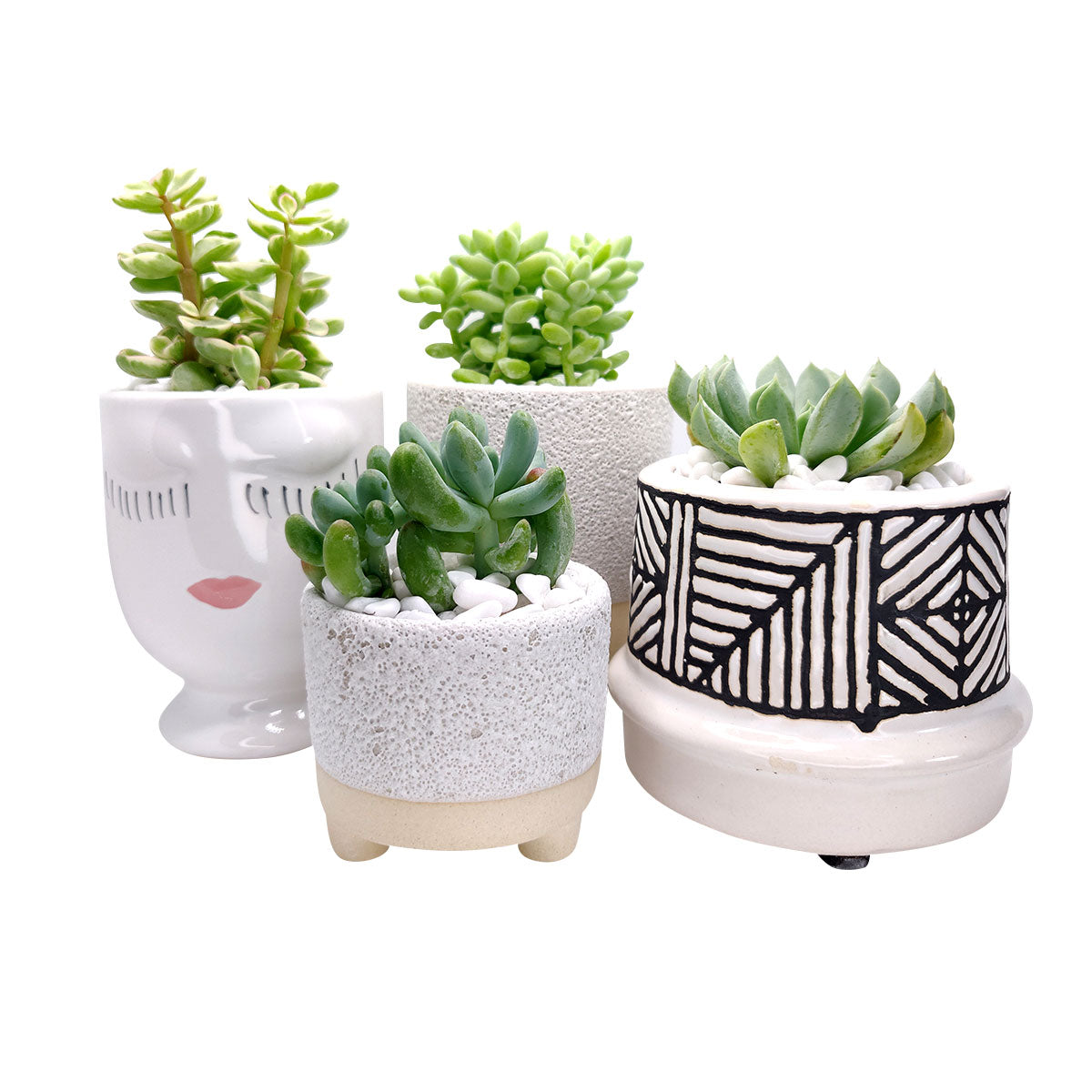 2.5 inch succulent pot 2 inch Bubbled Ceramic Footed Pot | Small Pot for Cactus & Succulent Plant