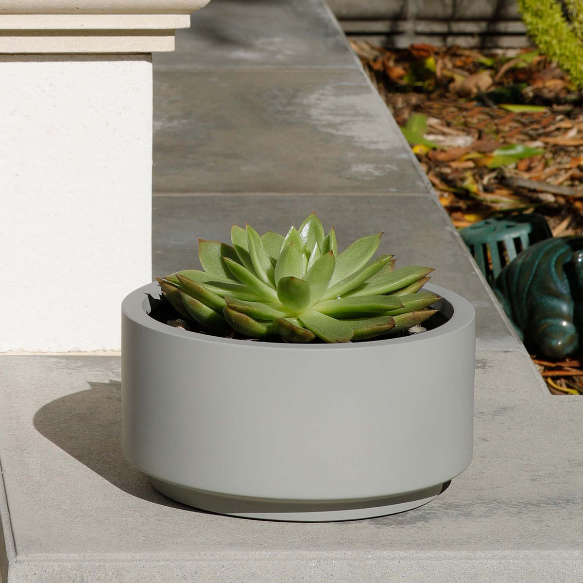 smooth succulents 7 inch Smooth Gray Fiberstone Ceramic Pot - Modern Pot for Succulents
