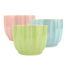 Set of 3 Ripple Pots Randomly Picked for Sale, Elegant Ceramic Pot for succulent and cactus, Mini flower ceramic pots, Succulent gift decor ideas