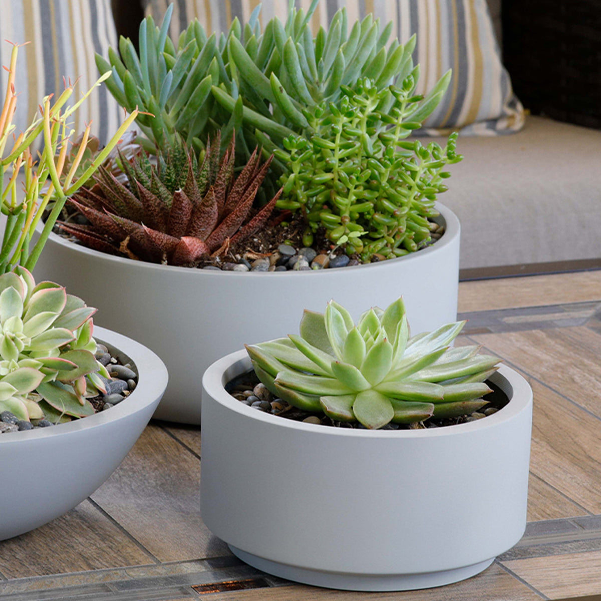 smooth succulents 7 inch Smooth Gray Fiberstone Ceramic Pot - Modern Pot for Succulents