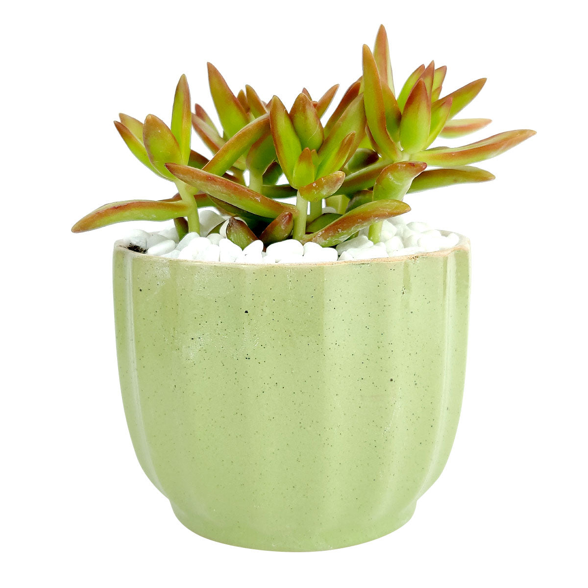 Green Ripple Pot for sale, Round ceramic flower pots, Marble style succulent indoor pots, Small pot for succulent and cactus, green pastel flower ceramic pot, succulent gift decor ideas