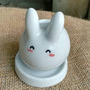 Choose the right pot material for your succulents