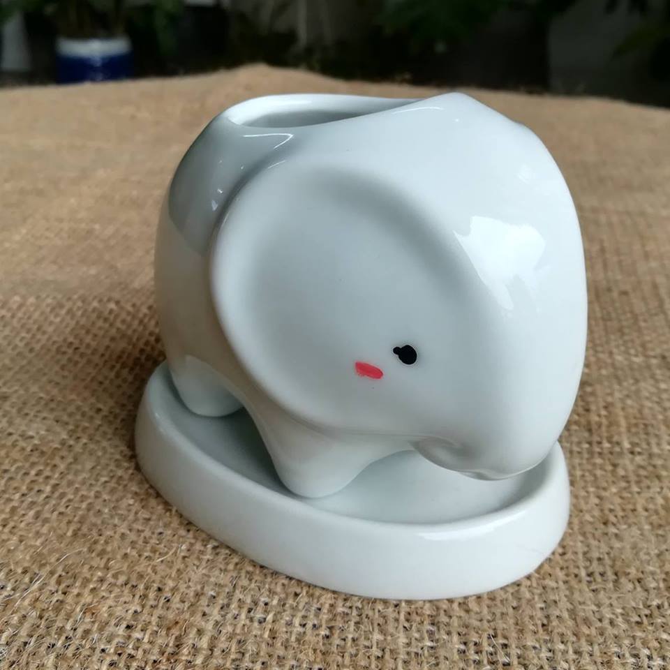 ceramic succulent planter, ceramic plant pot