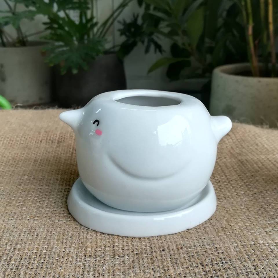 ceramic succulent planter, ceramic plant pot