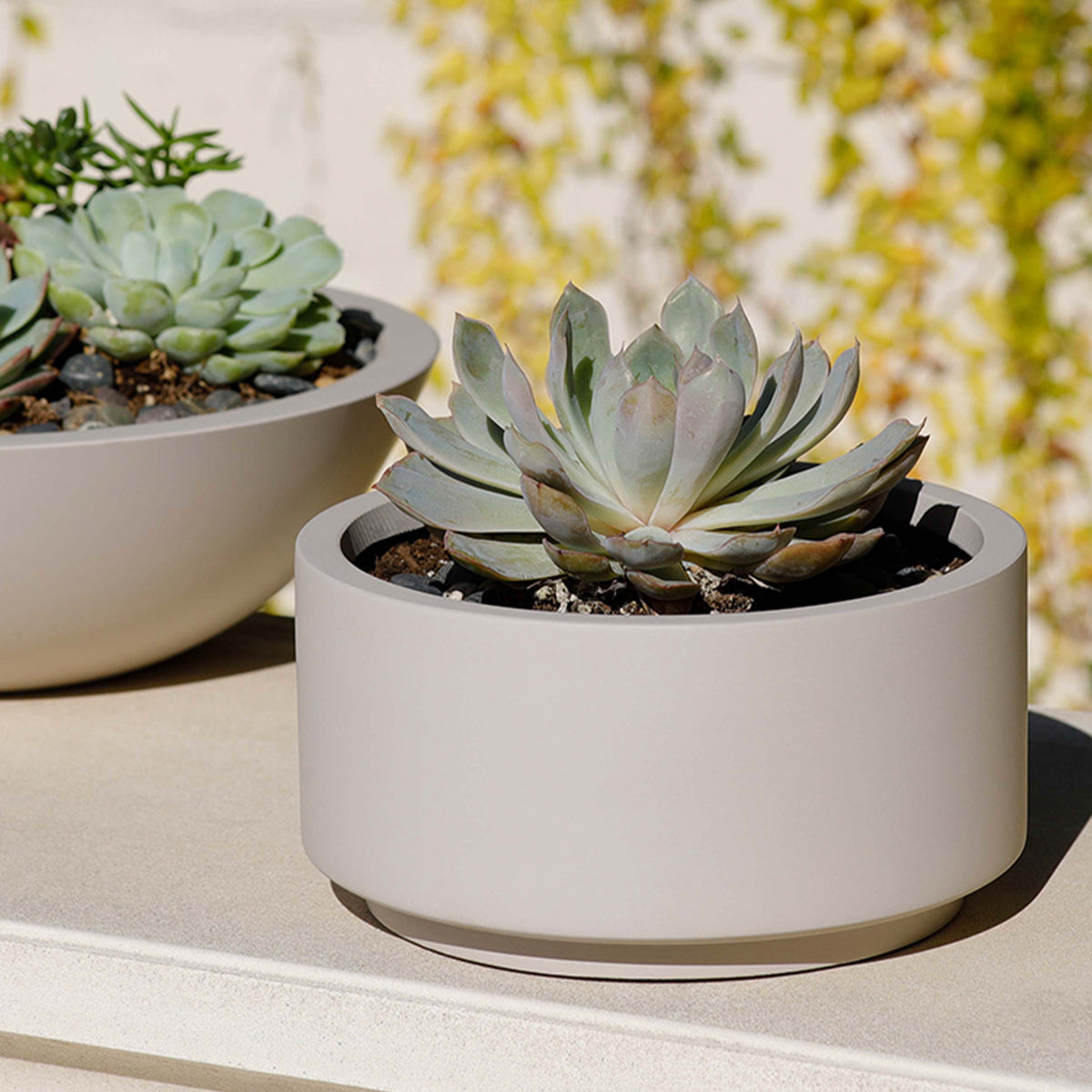 gray succulent planter 7 inch Gray Cream Fiberstone Ceramic Pot - Modern Pot for Succulents