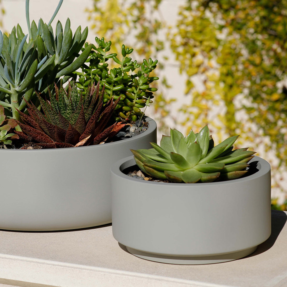 smooth succulents 7 inch Smooth Gray Fiberstone Ceramic Pot - Modern Pot for Succulents