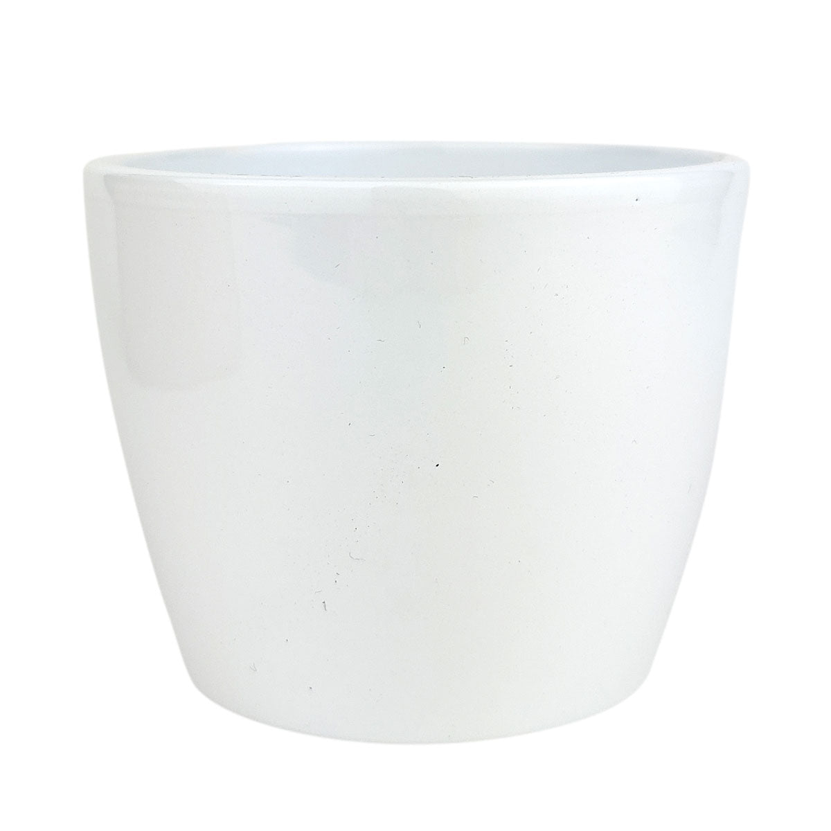 Simple Ceramic Pot for sale, White Cactus Ceramic Pot, Modern Pot Decor for Home or Office, High Quality Ceramic Pot for Plants and Flowers, Modern Style Indoor Ceramic Planter