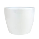 Simple Ceramic Pot for sale, White Cactus Ceramic Pot, Modern Pot Decor for Home or Office, High Quality Ceramic Pot for Plants and Flowers, Modern Style Indoor Ceramic Planter
