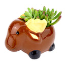 Ceramic Moose Pot for sale, Cute Ceramic Succulent Pot, Moose Planter Decor, Craft Supplies, Succulent Gift Ideas, Moose Succulent Pot