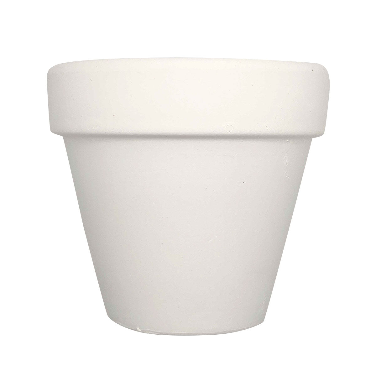 succulent garden, mini pot