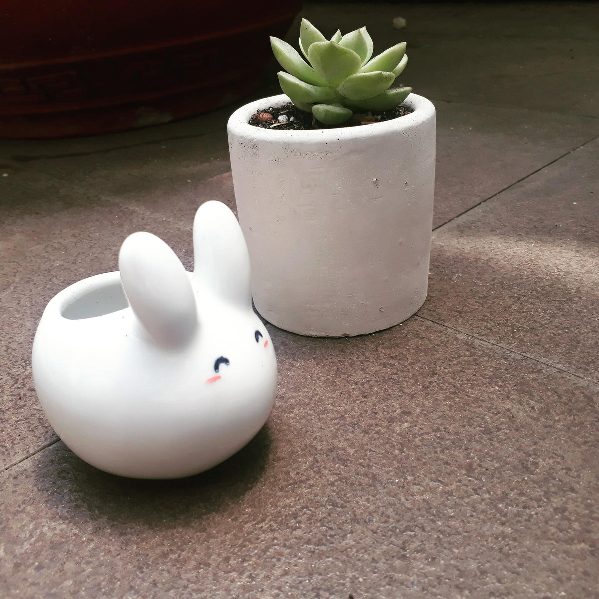 ceramic succulent planter