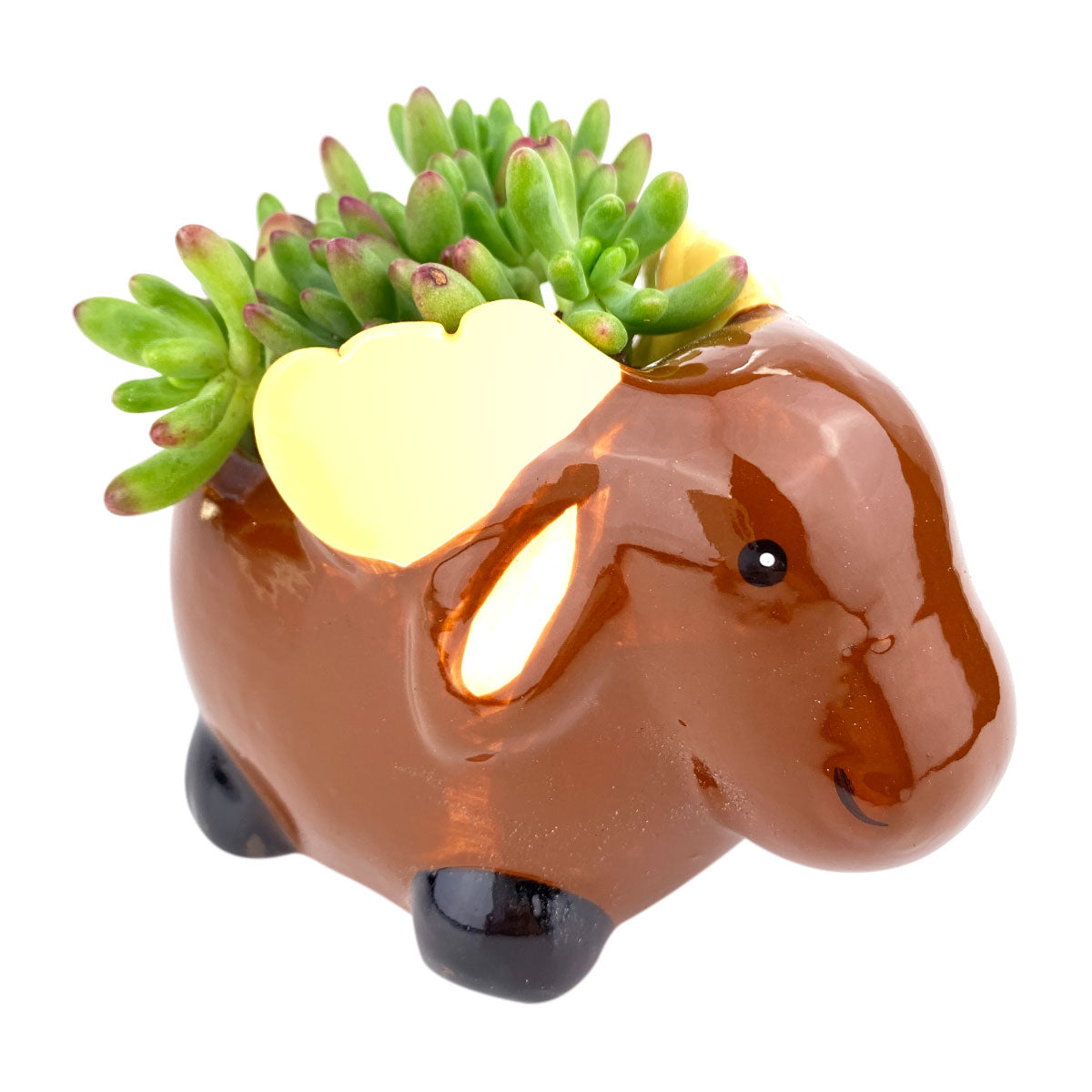 Ceramic Moose Pot for sale, Cute Ceramic Succulent Pot, Moose Planter Decor, Craft Supplies, Succulent Gift Ideas, Moose Succulent Pot
