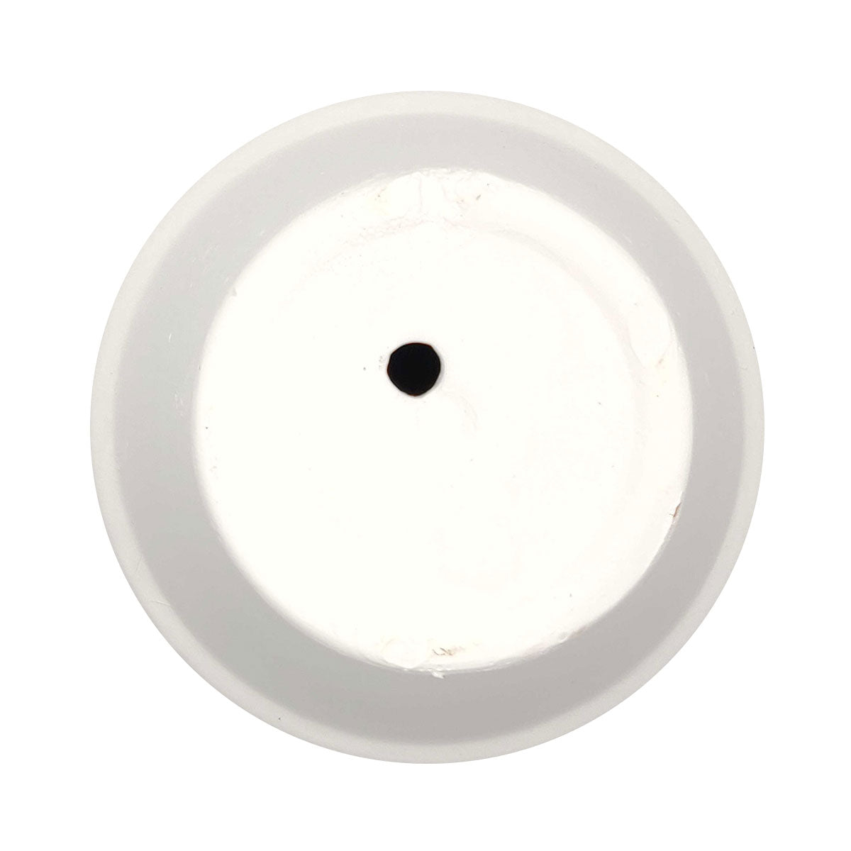 succulent garden, mini pot