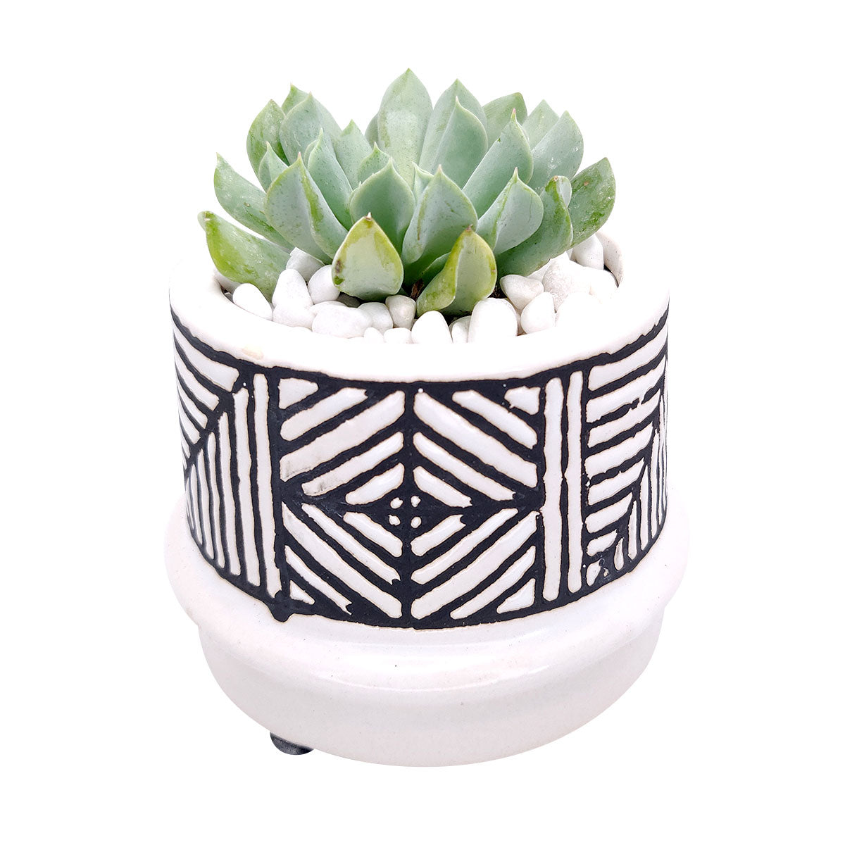 Tribal Geometric Ceramic Pot for sale, Pot for cactus and succulent, modern style home decor, flower pot for sale