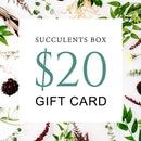 buy gift card online, black friday gift deals gift cards, buy gift card near me, best buy gift card, buy gift card discount, christmas gift card ideas, succulent gift card for any occasion, buy succulents for thanksgiving
